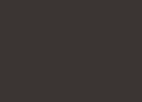 Dark Brown colour sample